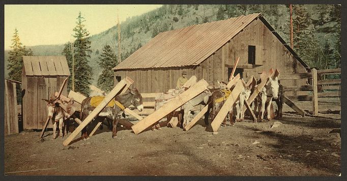 Historické fotky, fotochrom. Colorado krátce po odeznění zlaté horečky 1890-1905.