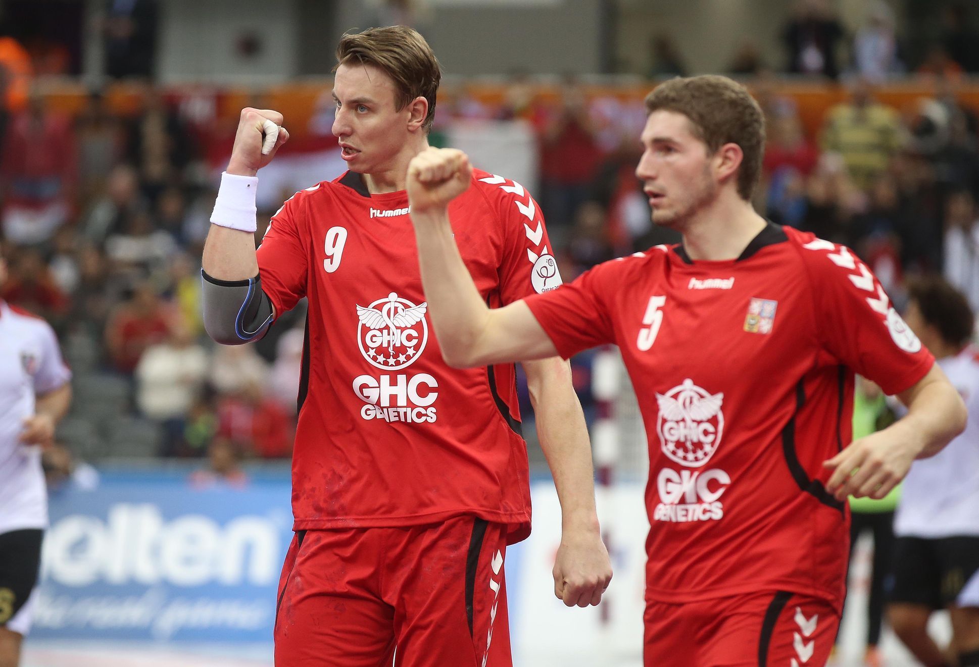 MS v házené: ČR - Egypt