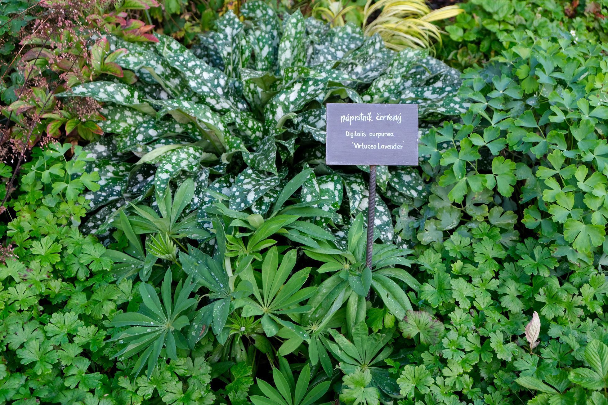 Bylinková chalupa Strakonice