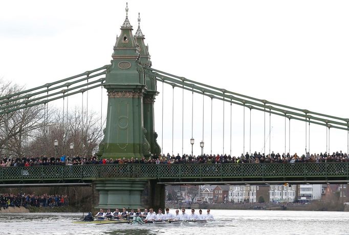 Veslování, regata Oxford - Cambridge