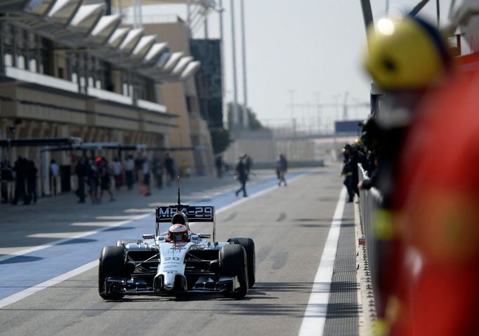 F1 2014: Kevin Magnussen (McLaren)