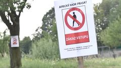 Čunek zakázal vstup do lesní oblasti na Zlínsku. Je zamořená prasečím morem
