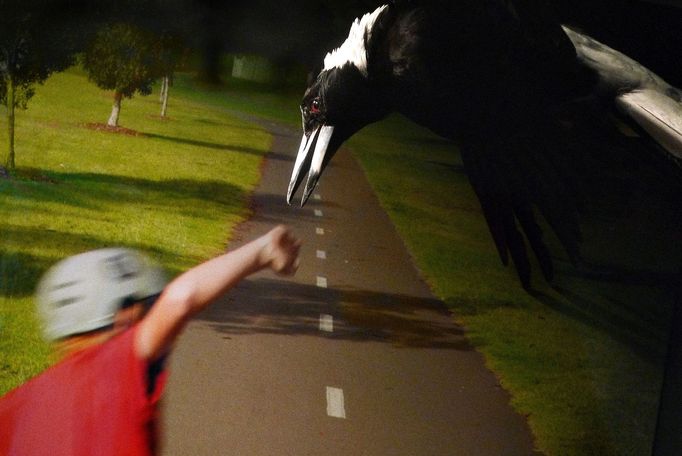 Ukázka za výstavního souboru "Zaostřeno na barvu" fotografa a pedagoga Vladimíra Birguse, který bude k vidění v rámci letošního Blatenské fotofestivalu.