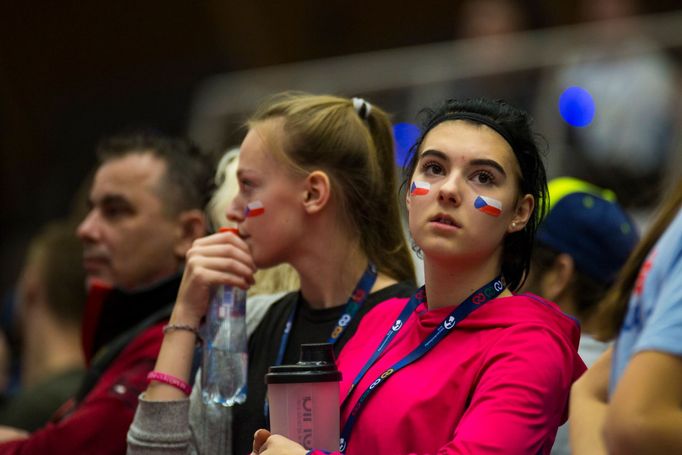 Czech Indoor Gala 2017: fanynky