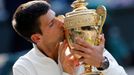 Novak Djokovič na Wimbledonu 2014