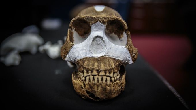 Nálezů kostí je zhruba 1550, což je v paleoantropologii nevídané, říká antropolog Lukáš Friedl. Dodává, že v jeskyni byl zatím prozkoumán jen jeden metr čtvereční do hloubky dvaceti pěti centimetrů.