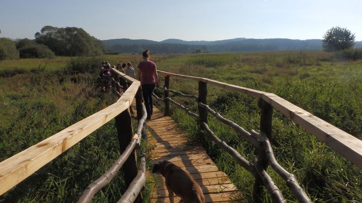 Obrazem: Nádherné kouty české přírody. V unikátních lokalitách vznikají stezky