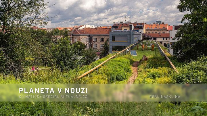 Zelené střechy i nádrže na vodu. Brno ukazuje, jak stavět v době klimatické změny