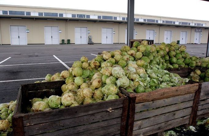 Tržnice Piaca de Gross, velkoobchod se zeleninou a ovocem. Úspěšně dokončený projekt minulého roku, na který též šly evropské dotace.