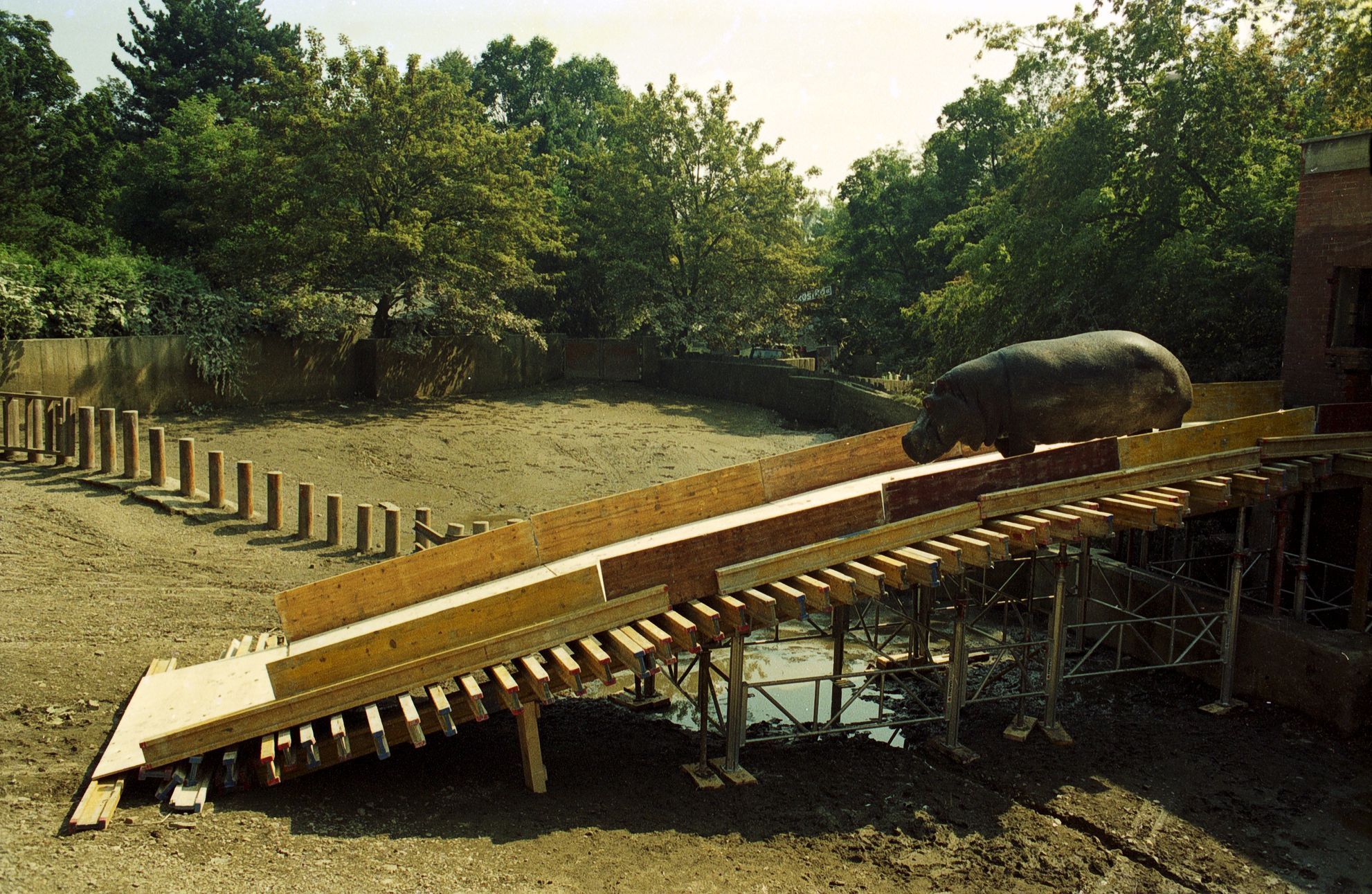 Zoo praha povodně 2002