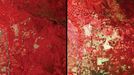 http://climate.nasa.gov/state_of_flux#Deforestation_Bolivia1.jpg Deforestation, Bolivia Left: June 17, 1975. Middle: July 10, 1992. Right: August 1, 2000. This area lies