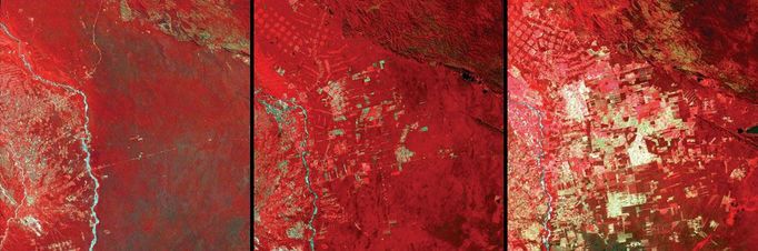 http://climate.nasa.gov/state_of_flux#Deforestation_Bolivia1.jpg Deforestation, Bolivia Left: June 17, 1975. Middle: July 10, 1992. Right: August 1, 2000. This area lies