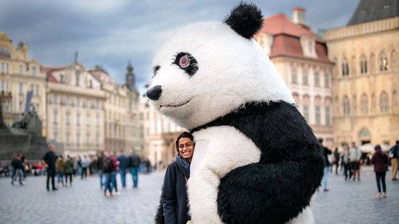 Je libo fotku s pandou?