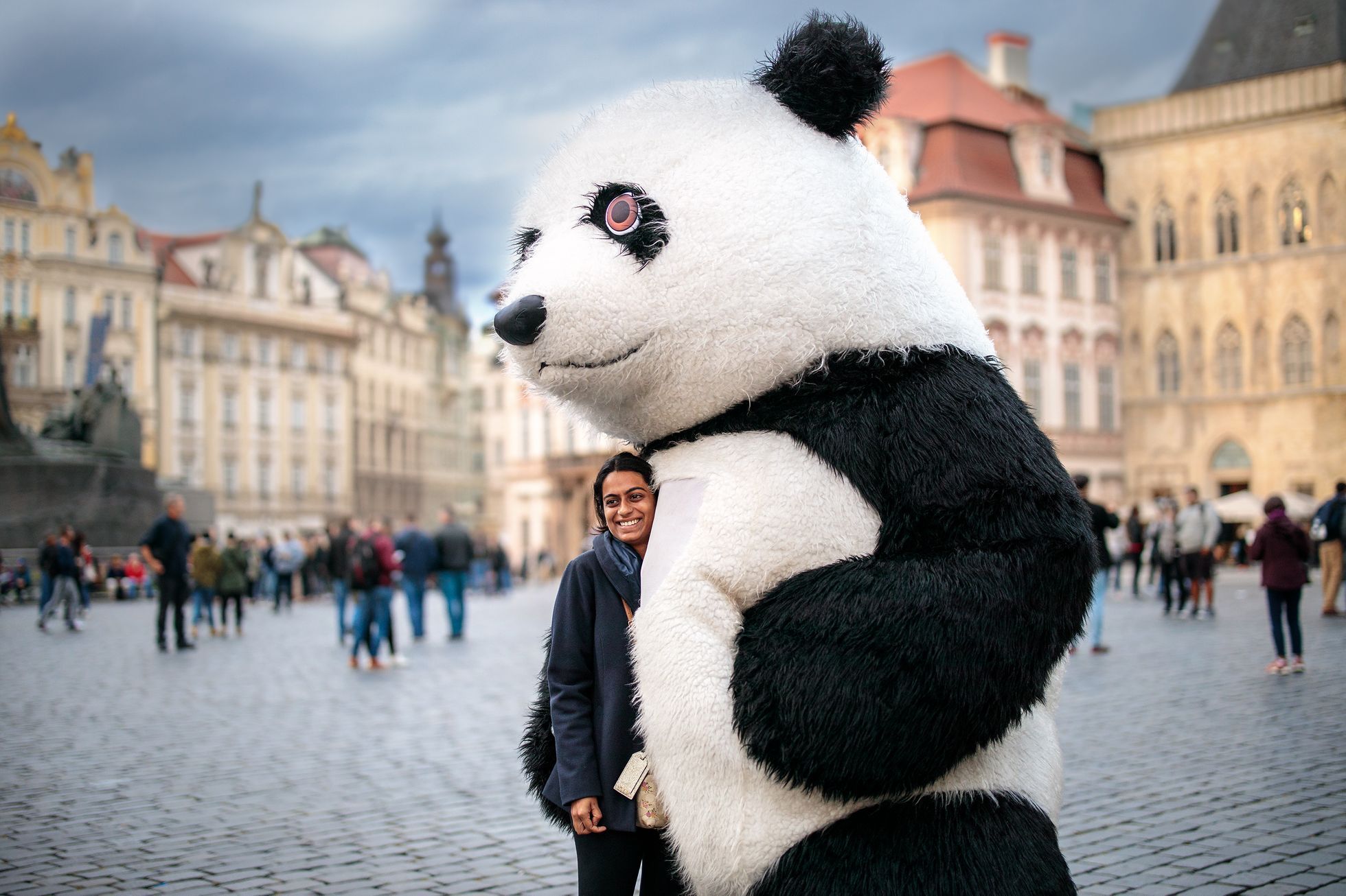 Praha chce zakázat obří masky medvědů, pand a goril
