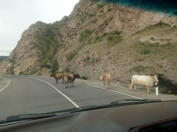 Kyrgyzstán, Naryn, Liglass