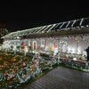 Vánočně osvětlený rodinný dům zapsaný do České knihy rekordů, Libišany