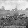 Fotogalerie / Bitva u Gettysburgu / Library of Congress / 21