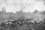 Bitva u Gettysburgu byla obzvláště bolestná. Kromě vojenských jednotek tu zahynula i celá řada generálů.