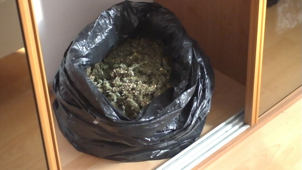 Zabavená Marihuana