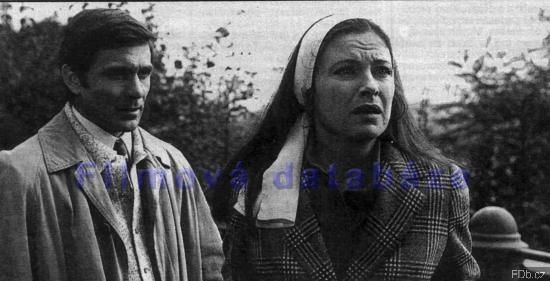 Průřez kariérou Mileny Dvorské