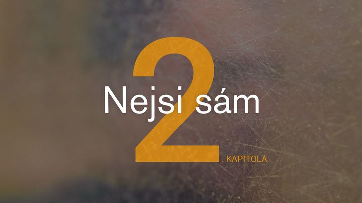 V cestě stojí plot. Skočit pod vlak je těžší, když musí člověk přelézt překážku