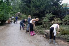 Reportáž: Jak se uklízí vyplavená pražská zoo