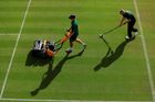 Jediný grandslam hraný na trávě odstartoval ve Velké Británii v pondělí. Do turnaje se postupně zapojí jedenáct českých tenistek a tenistů.
