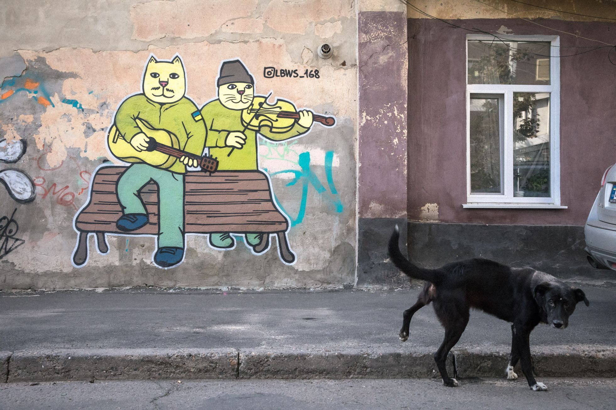 Anonymní graffiti umělec LBWS, Oděsa, Ukrajina, kočky