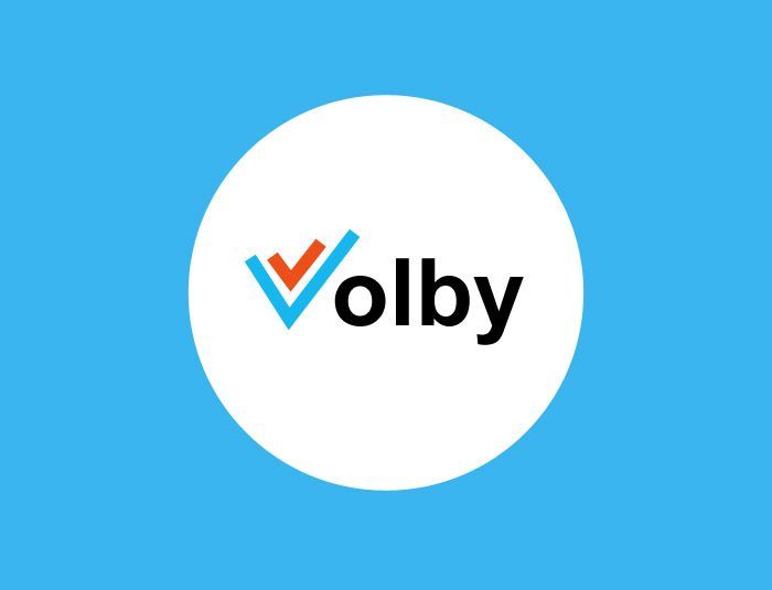 Volby - ikona