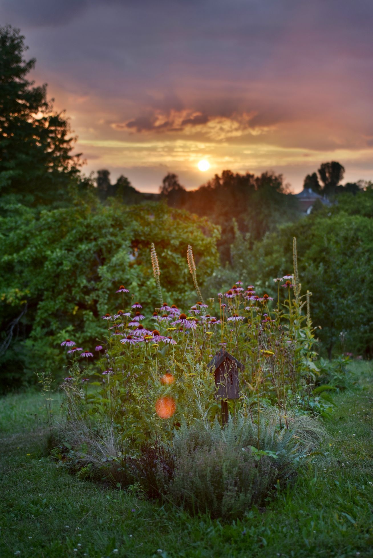 domeček na kopci, dům, rekonstrukce, zahrada, příběh