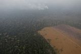 Brazilský národní ústav INPE v úterý zveřejnil statistiku, podle které se počet lesních požárů v Brazílii letos zvýšil oproti loňsku o 83 procent.