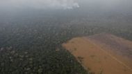 Brazilský národní ústav INPE v úterý zveřejnil statistiku, podle které se počet lesních požárů v Brazílii letos zvýšil oproti loňsku o 83 procent.