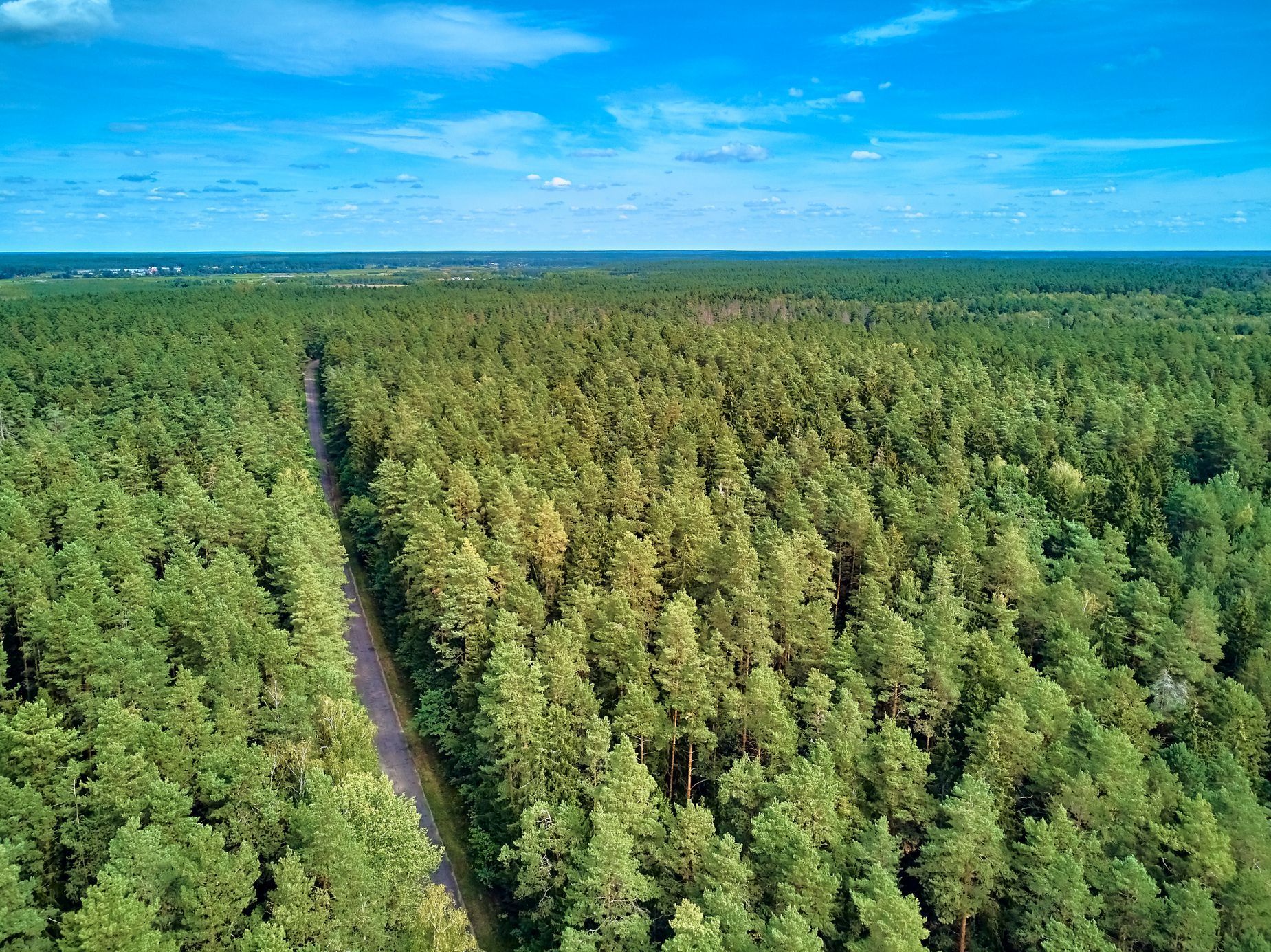 Bělověžský prales, Polsko, Bělorusko
