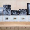 Galerie Vzlet: výstava Aleny Kotzmannové s názvem Kde je Eden