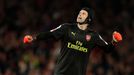 PL, Arsenal-Chelsea: Petr Čech