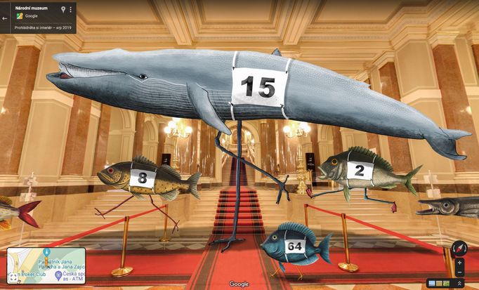 Prostory Národního muzea těsně po rekonstrukci se v ilustraci Elišky Podzimkové staly dějištěm závodu prehistorických ryb v běhu přes překážky.