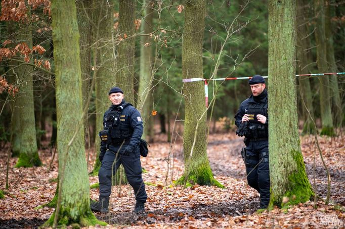 Policisté pátrají v Klánovickém lese.