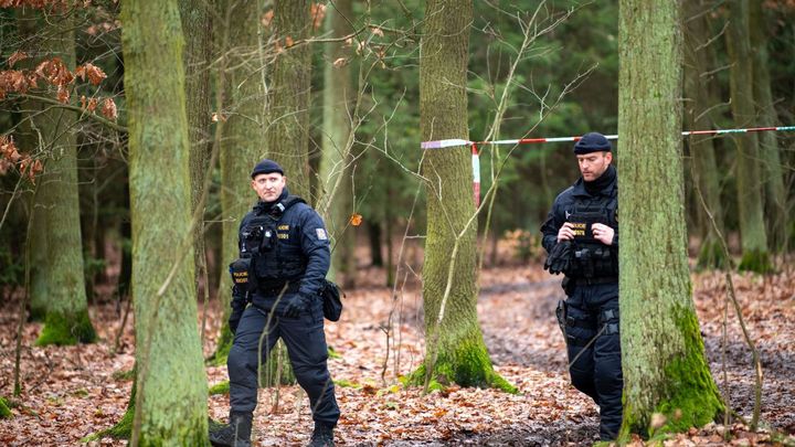 Stovky policistů dál prohledávají Klánovický les, hledají spojitost s vraždou