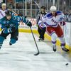 NHL: San Jose Sharks vs. New York Rangers (Polák)