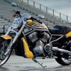 Harley 2