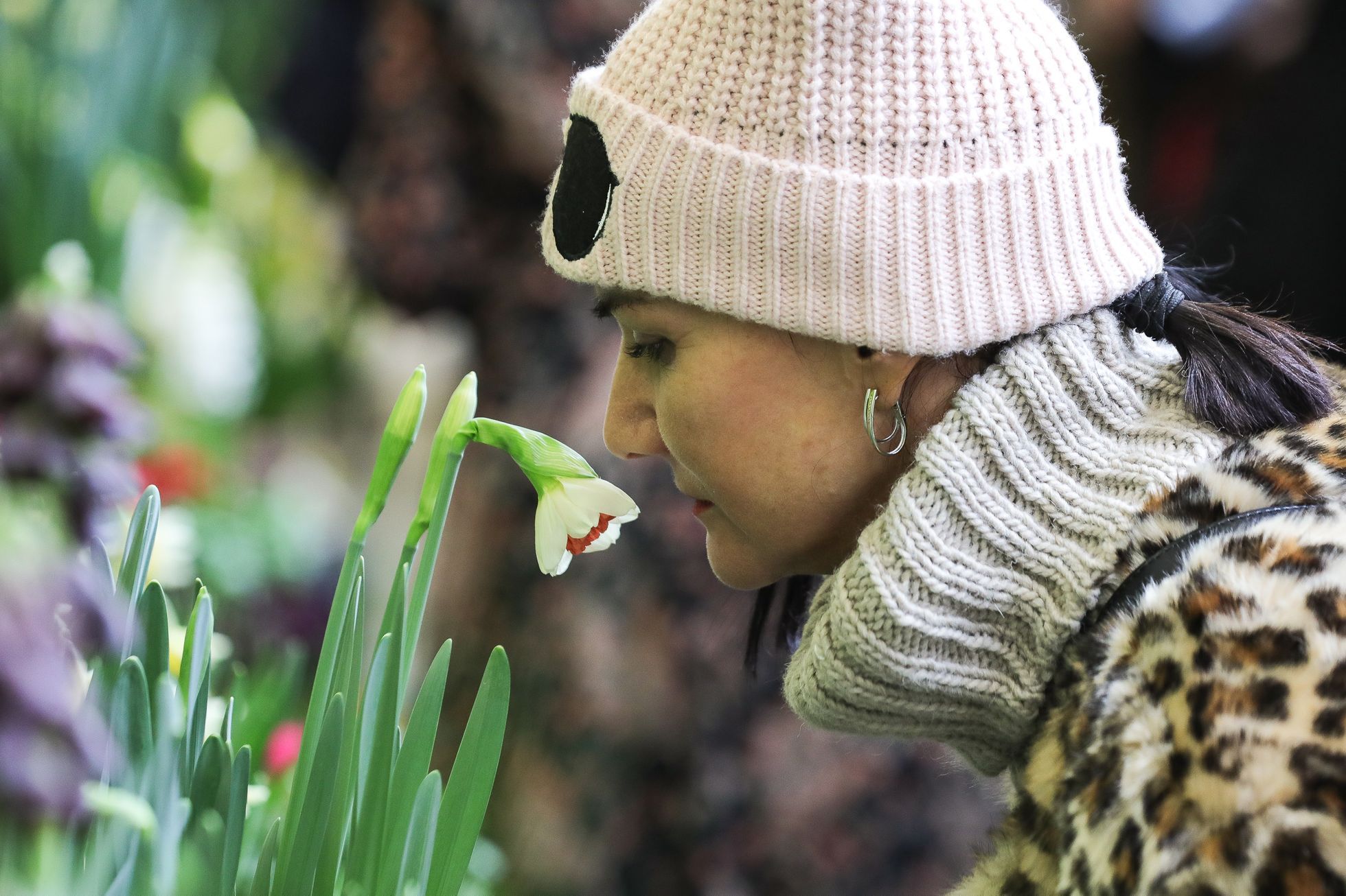 Výstava květin Předjaří, Pražský Hrad