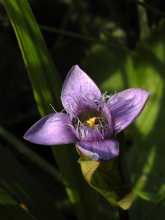 Příroda Křivoklátska