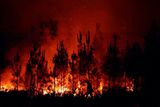 Vlny veder, které ke vzniku požárů přispěly, jsou stále častější, intenzivnější a déletrvající, než tomu bylo v minulosti.