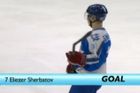 VIDEO Hokejový gól roku. Izraelec udělal parádní blafák
