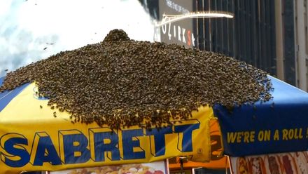 Times Square ohrožovaly včely. Pokryly stánek s párky. Policie musela ulici uzavřít