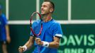 Davis Cup 2016 Česko vs. Francie: Lukáš Rosol - Jo-Wilfried Tsonga