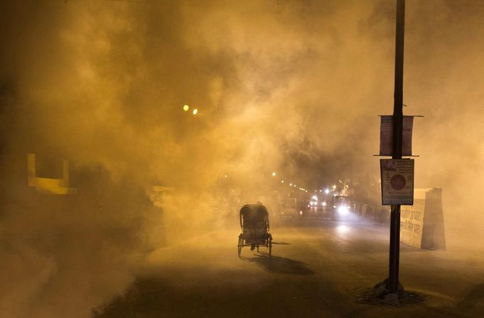 A man rides a cycle rickshaw amid a cloud of anti-mosquito smoke near the banks of the river Ganges ahead of the "Kumbh Mela" (Pitcher Festival) in the northern Indian city of Allahabad January 11, 2013. During the festival, Hindus take part in a religious gathering on the banks of the river Ganges. "Kumbh Mela" will return to Allahabad in 12 years. REUTERS/Ahmad Masood (INDIA - Tags: RELIGION SOCIETY) Published: Led. 11, 2013, 6:46 odp.