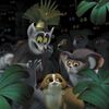 Madagaskar 2