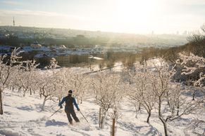 Foto: V Praze bylo tolik sněhu, že se lyžovalo i na Petříně. Nevěříte? Tady je důkaz