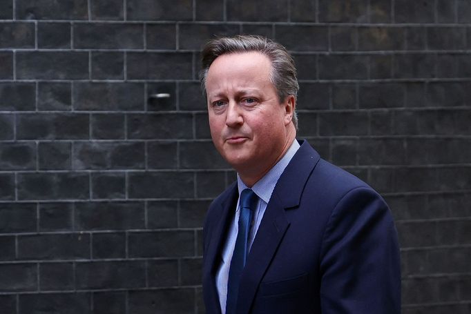 David Cameron u sídla britského premiéra v Downing Street.